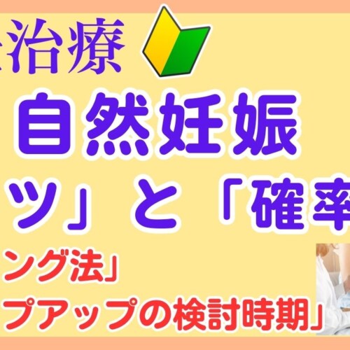 自然妊娠のコツと確率：年齢とタイミング法、食事、妊活ゼリー、産み分け、ステップアップの検討時期について