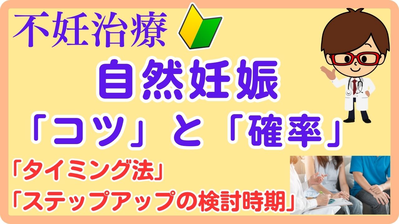 自然妊娠のコツと確率：年齢とタイミング法、食事、妊活ゼリー、産み分け、ステップアップの検討時期について